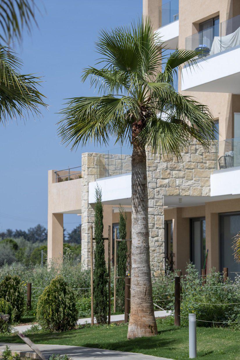 Квартира, апартаменты, 3 комн., Лимасол - Фото 13