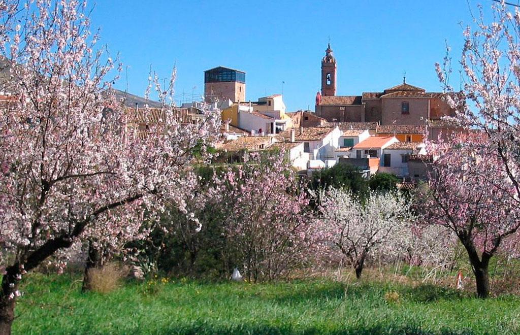 Квартира, апартаменты, 3 комн., Испания - Фото 11